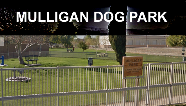 Mulligan Dog Park