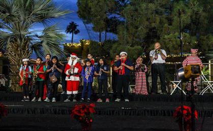 Indio Tree Lighting